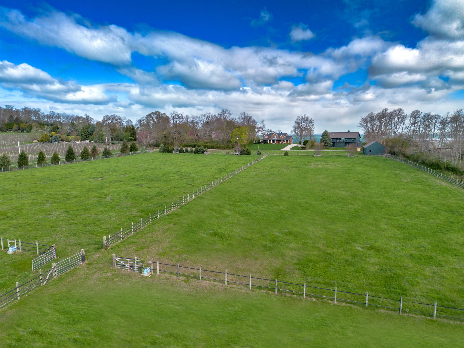 Fenced green pasture across the equestrian land in spring