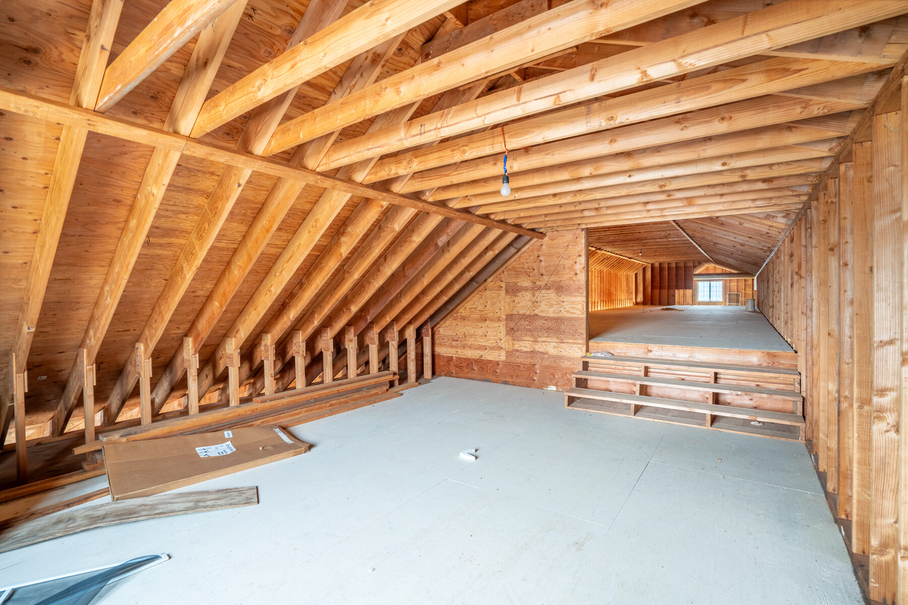 Multi-use barn interior, framed walls